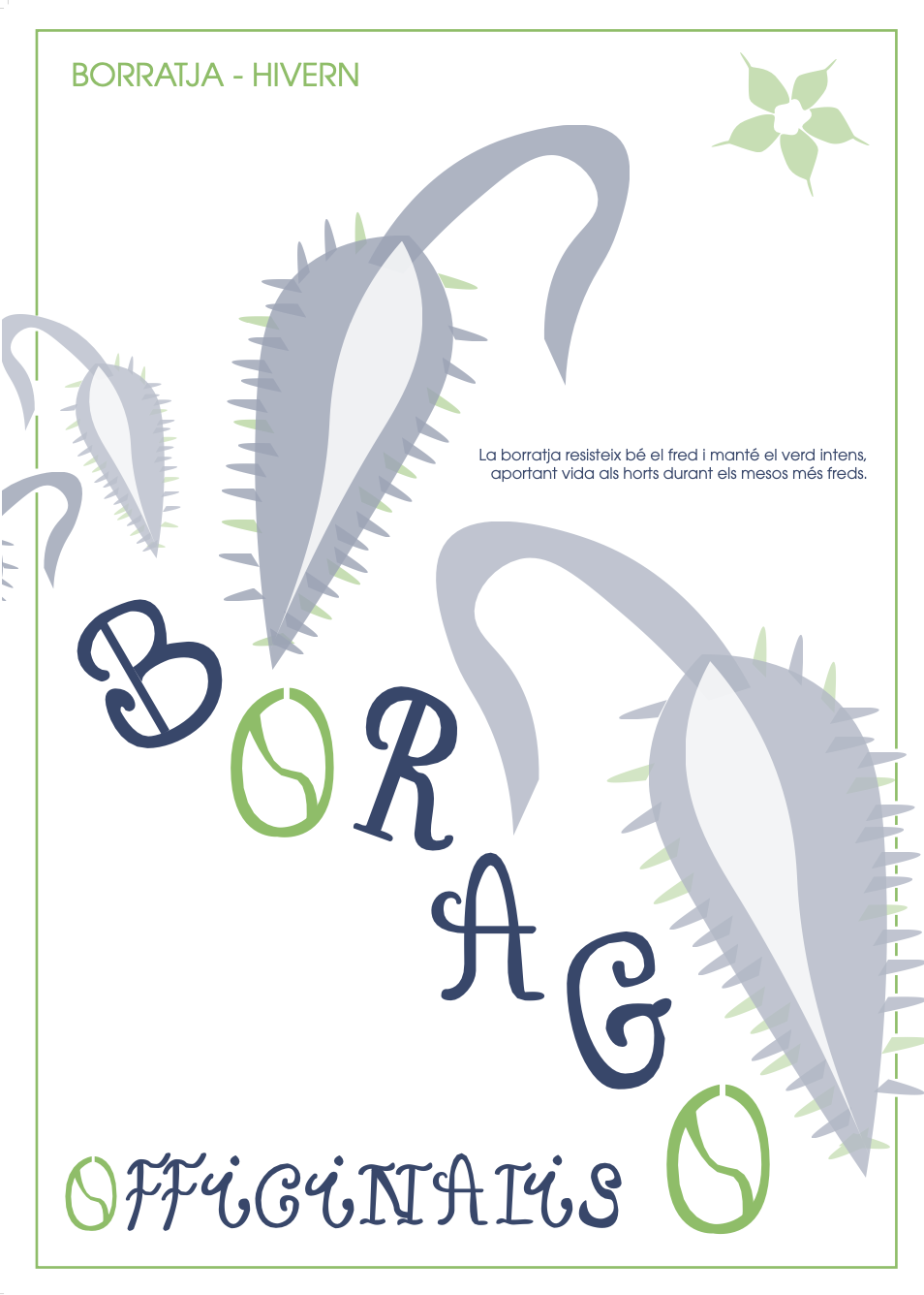 Cartell Catàleg Botànic I